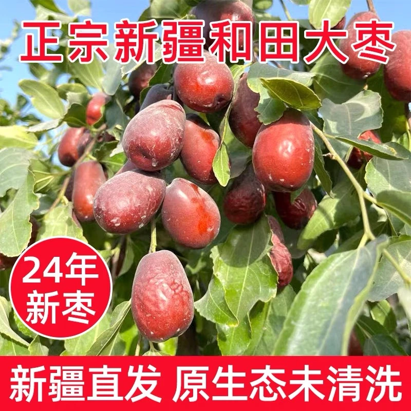 【24年新枣】新疆和田大枣原生态大枣吊干（人工精选超大）原产地发货