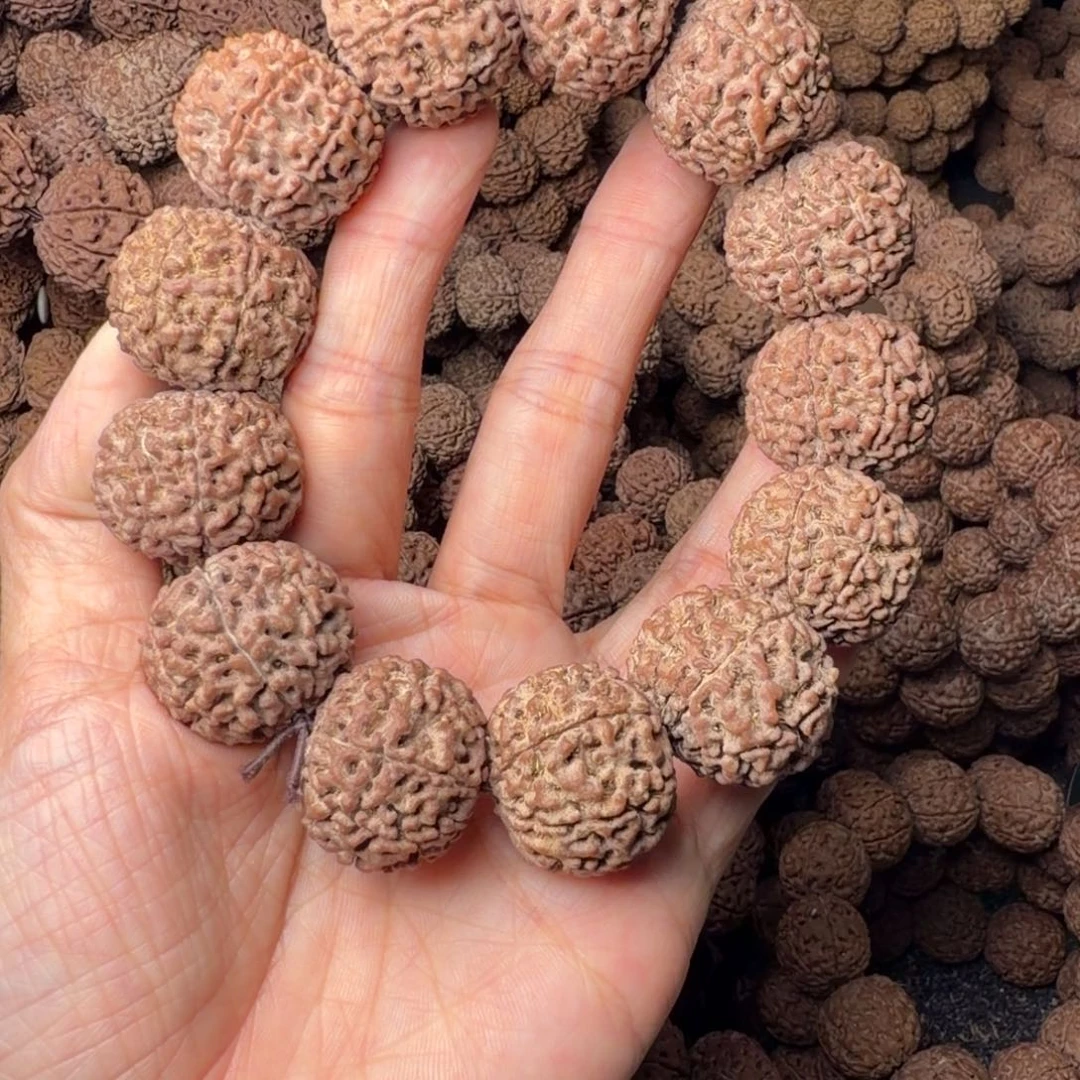 手串金刚菩提8瓣卡24尺，15号