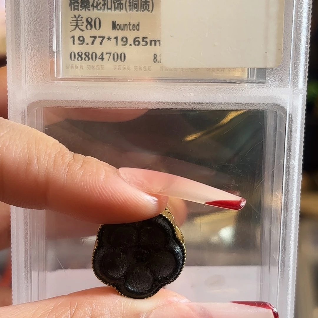 好好好好好好好好好好看