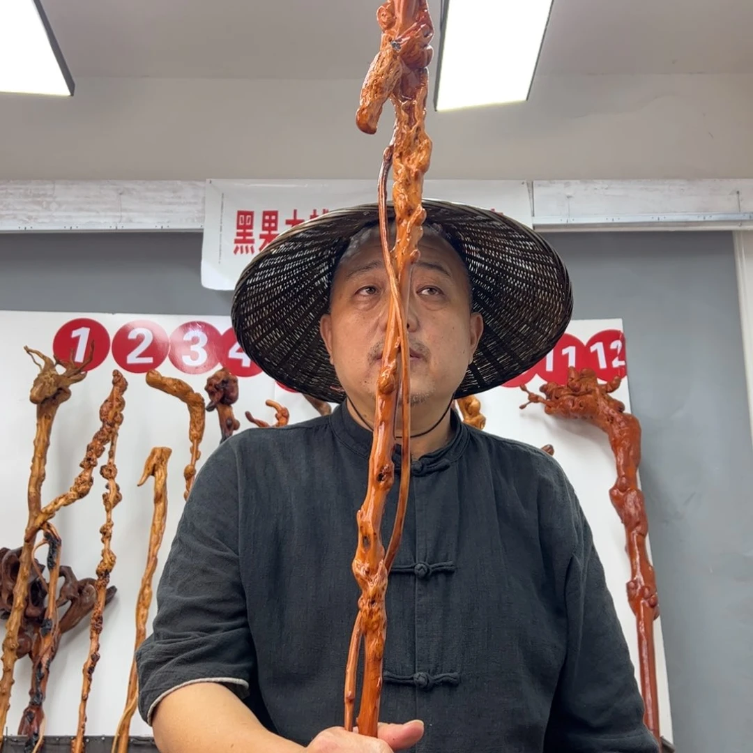 黑果木其他黑果木537