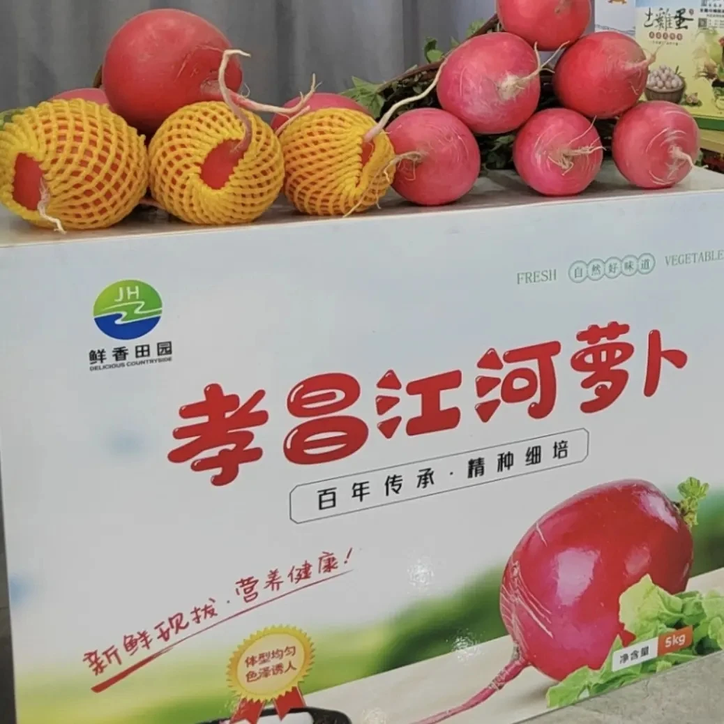 孝昌江河萝卜鲜香爽脆