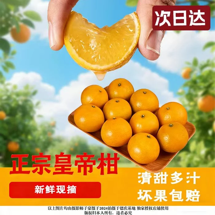 【京东次日达】正宗皇帝柑新鲜现摘皮薄肉厚多汁当季水果广东省