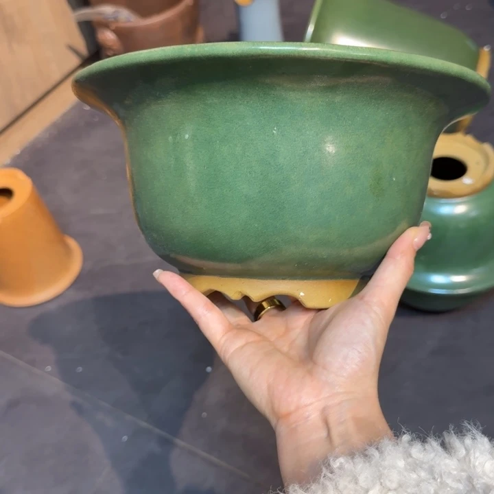 荷***月紫砂花盆福利来啦