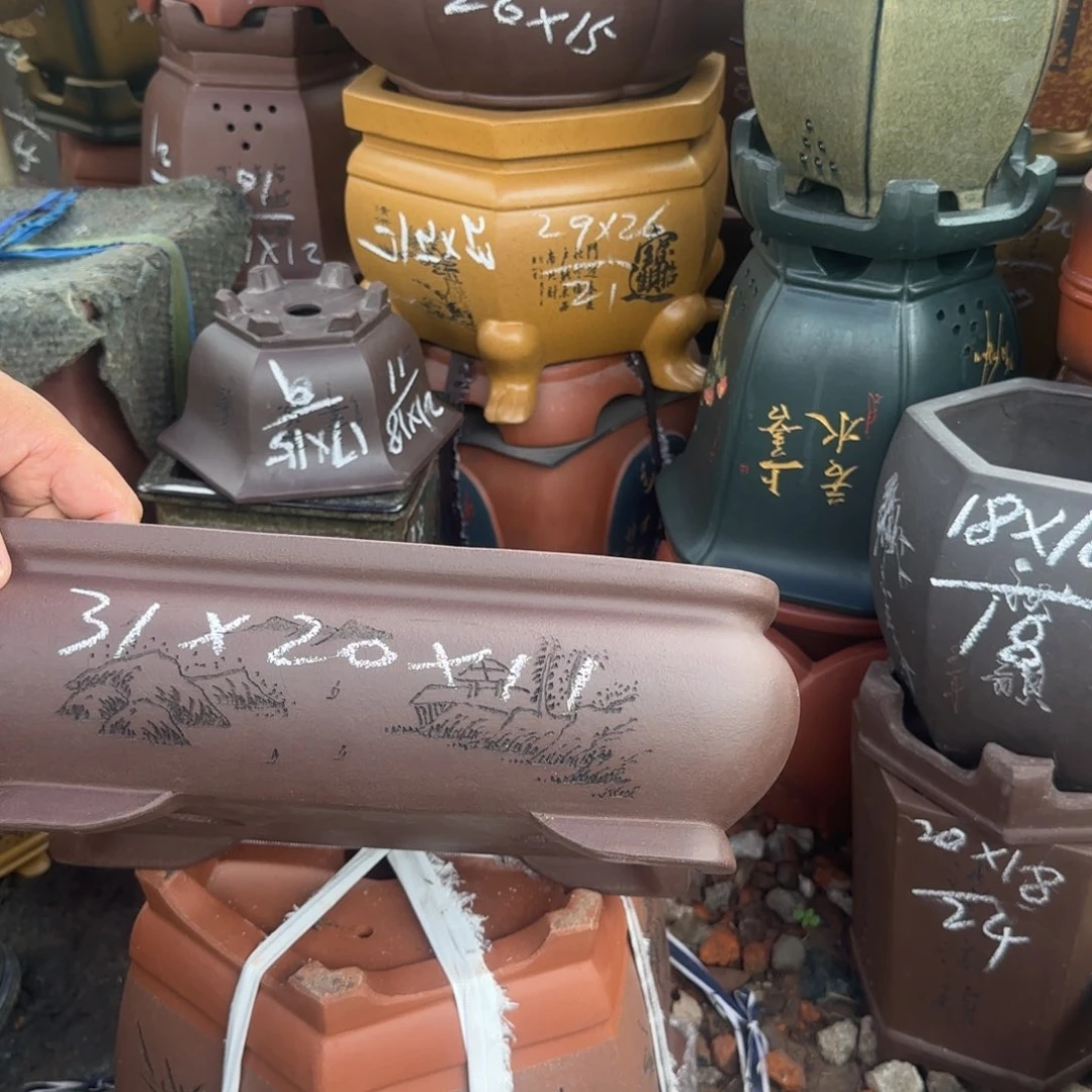 紫砂花盆紫砂花盆花盆盆景盆栽