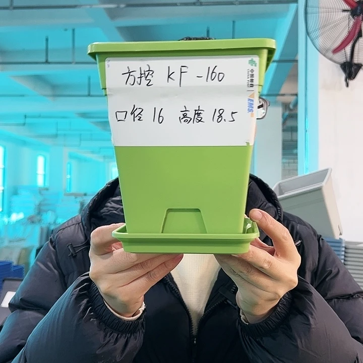 正品方盆口16高18果绿带托5只