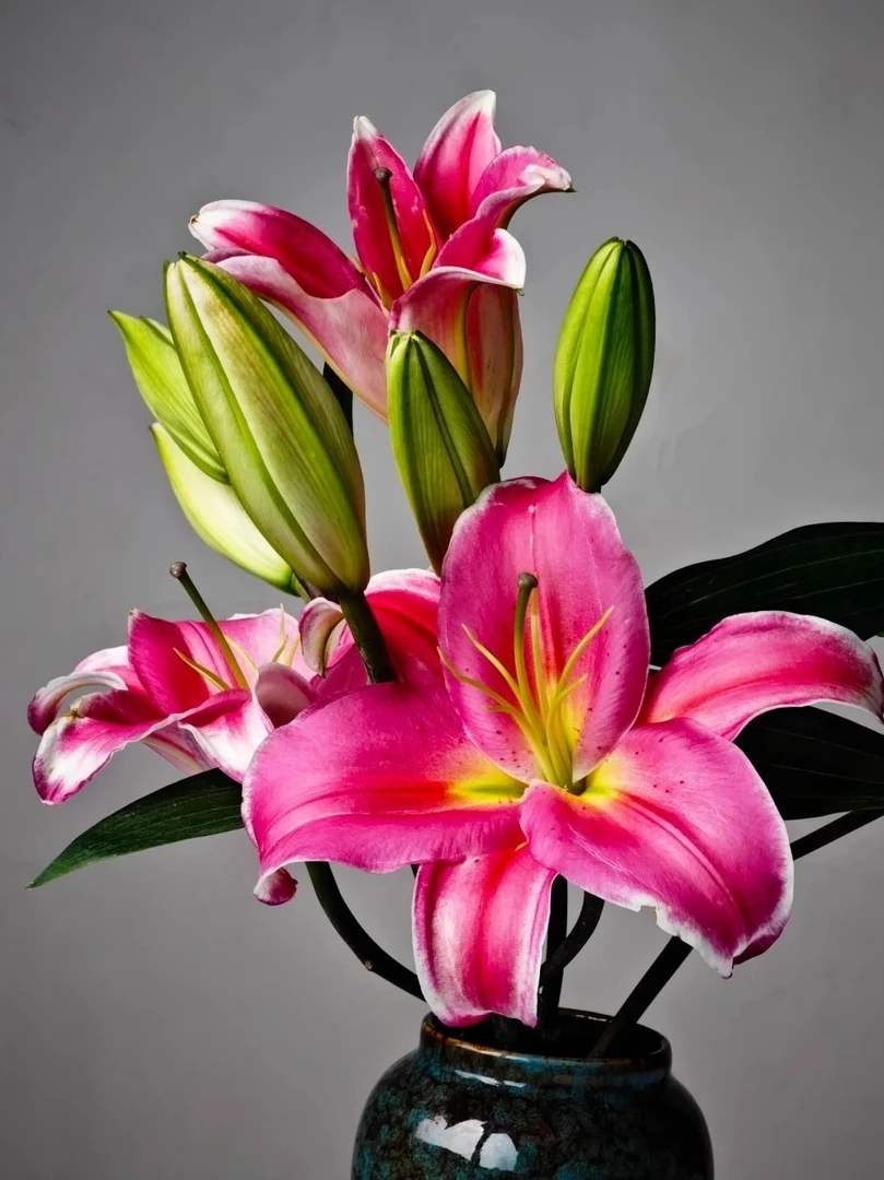 一首花卉（挚爱）香水百合，云南之地发货，任意两单顺丰