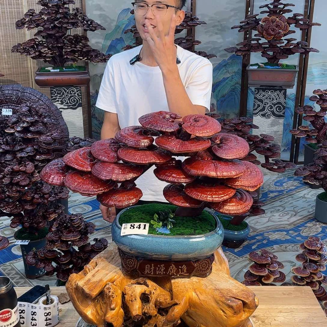 无花朵8888888888888