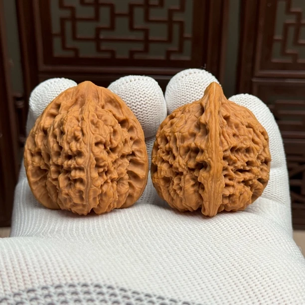 精选老树南疆石狮子头，边39肚38高40，炮弹桩南疆一物一图精配全品