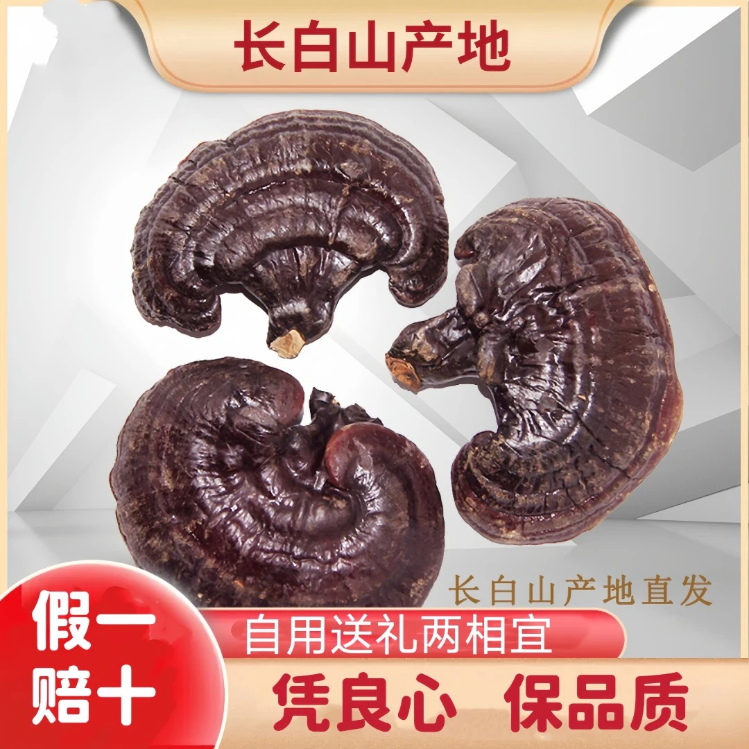 长白山红灵芝林下整支赤灵芝干货免洗煮水煲汤泡酒专用灵芝滋补品
