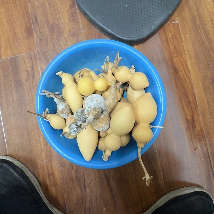 小*姑八宝葫芦组合活动