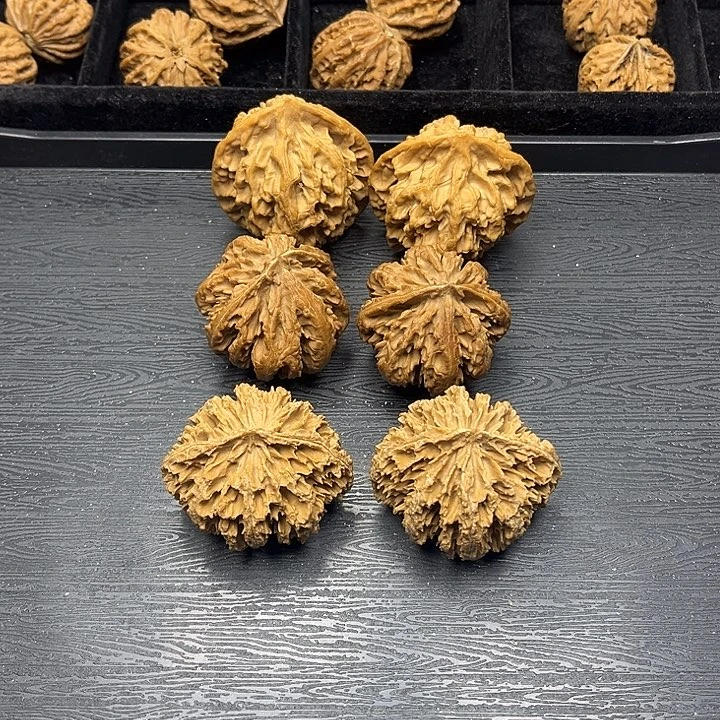 核桃秦岭突突突突突突