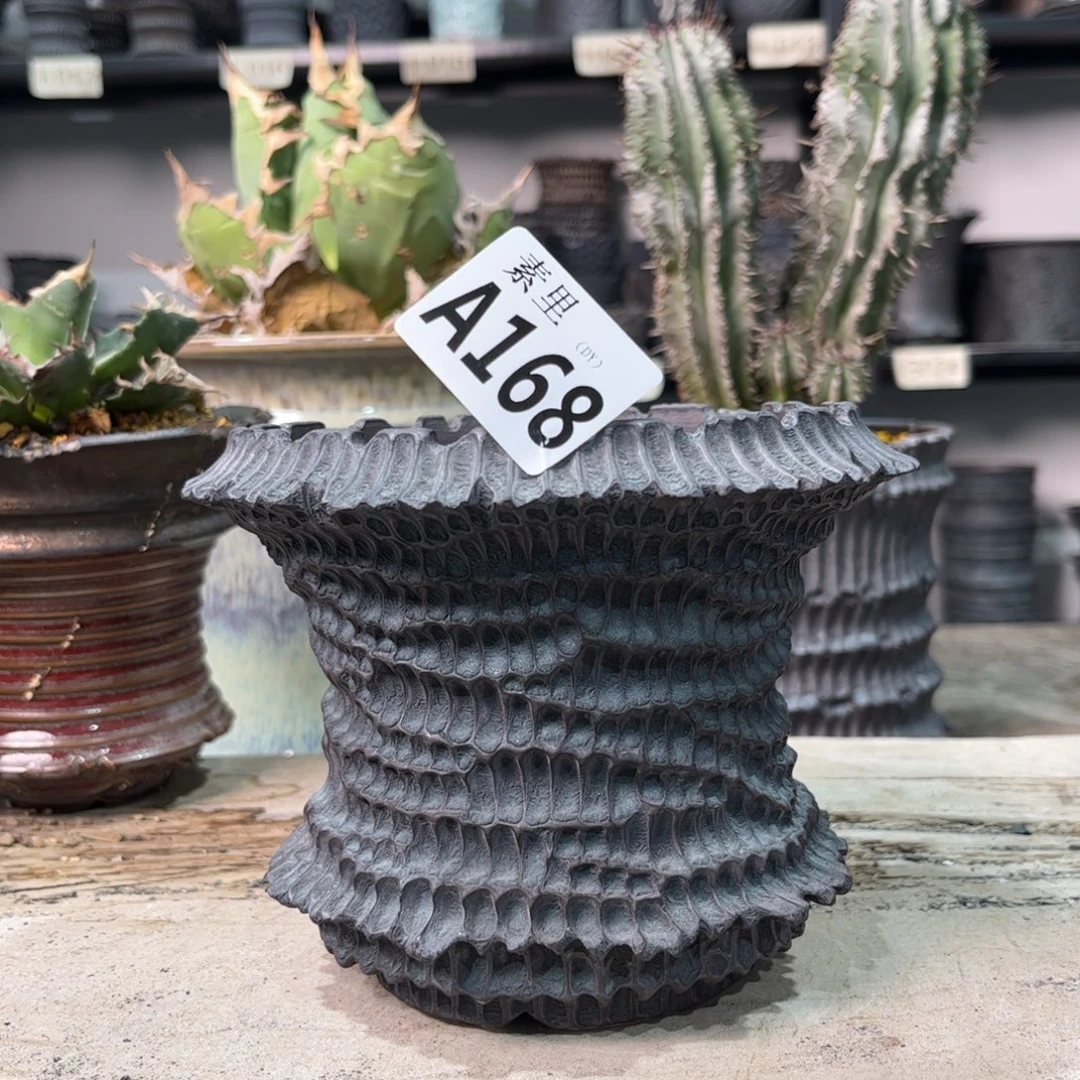 陶内口12.5高11.5景德镇