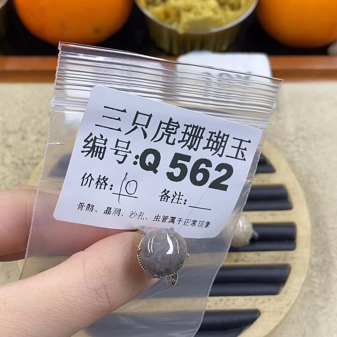 硅化珊瑚（珊瑚玉）1未镶嵌B****f