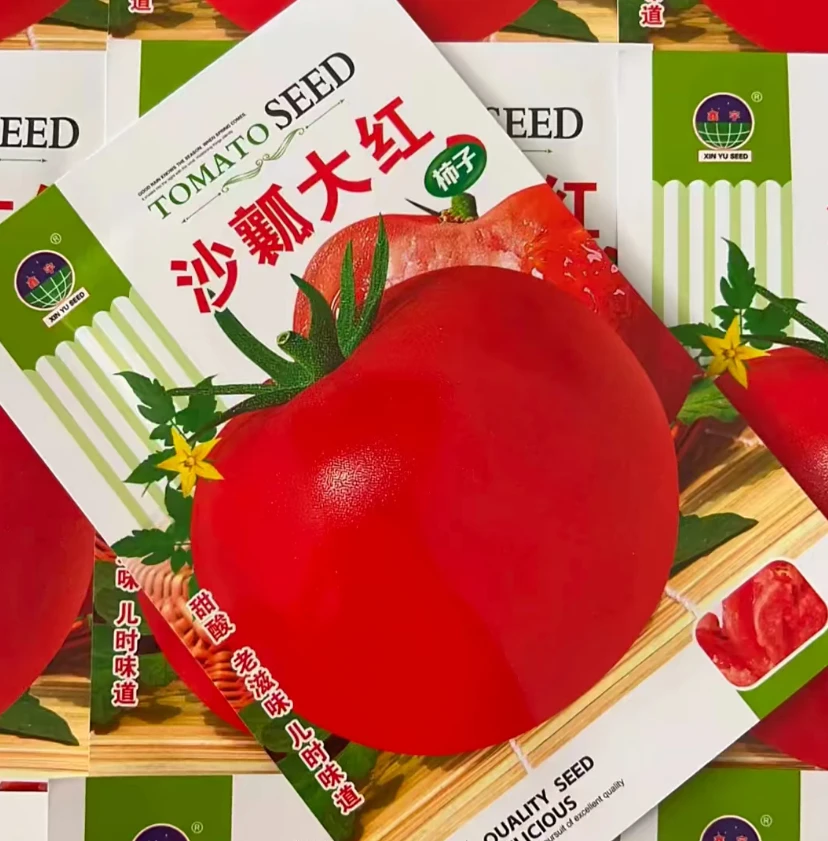 【沙瓤大红柿子种子】毛粉柿子四季夏季春季简单菜籽红色种子