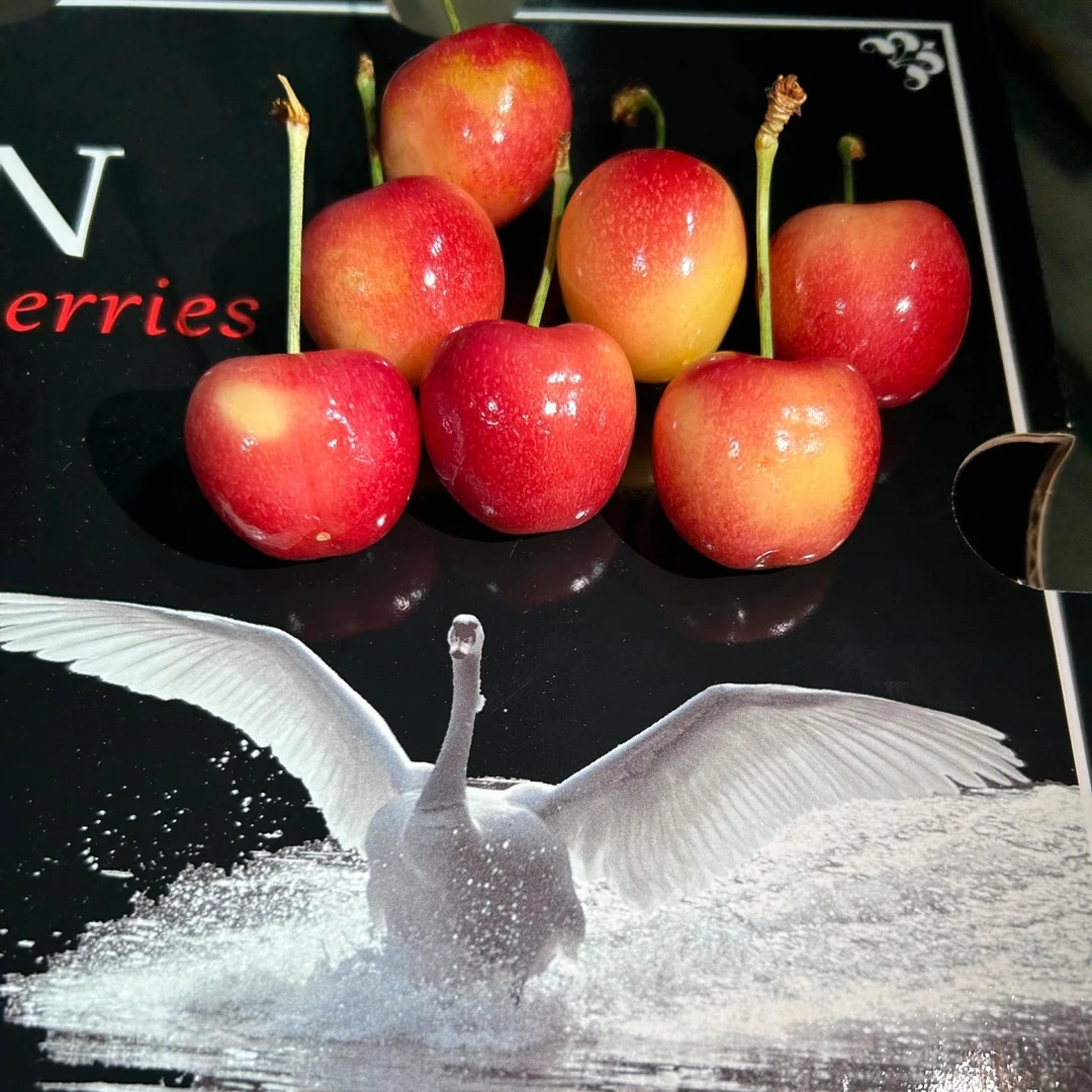 【黑天鹅/天空之城】空运斯凯拉雷3J车厘子500g/2000g【1小时送货到家】智利