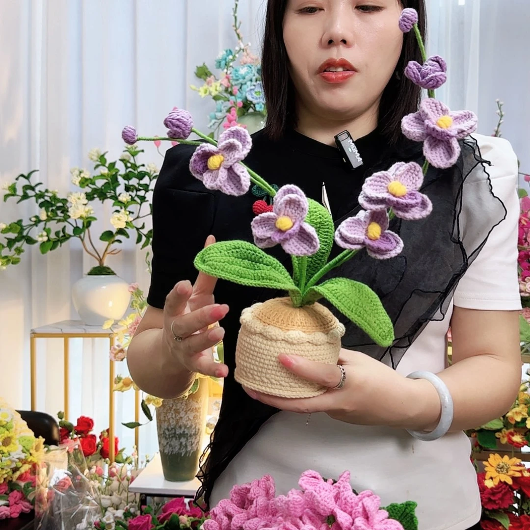 莱赛尔纤维棉手工钩织的蝴蝶兰盆栽