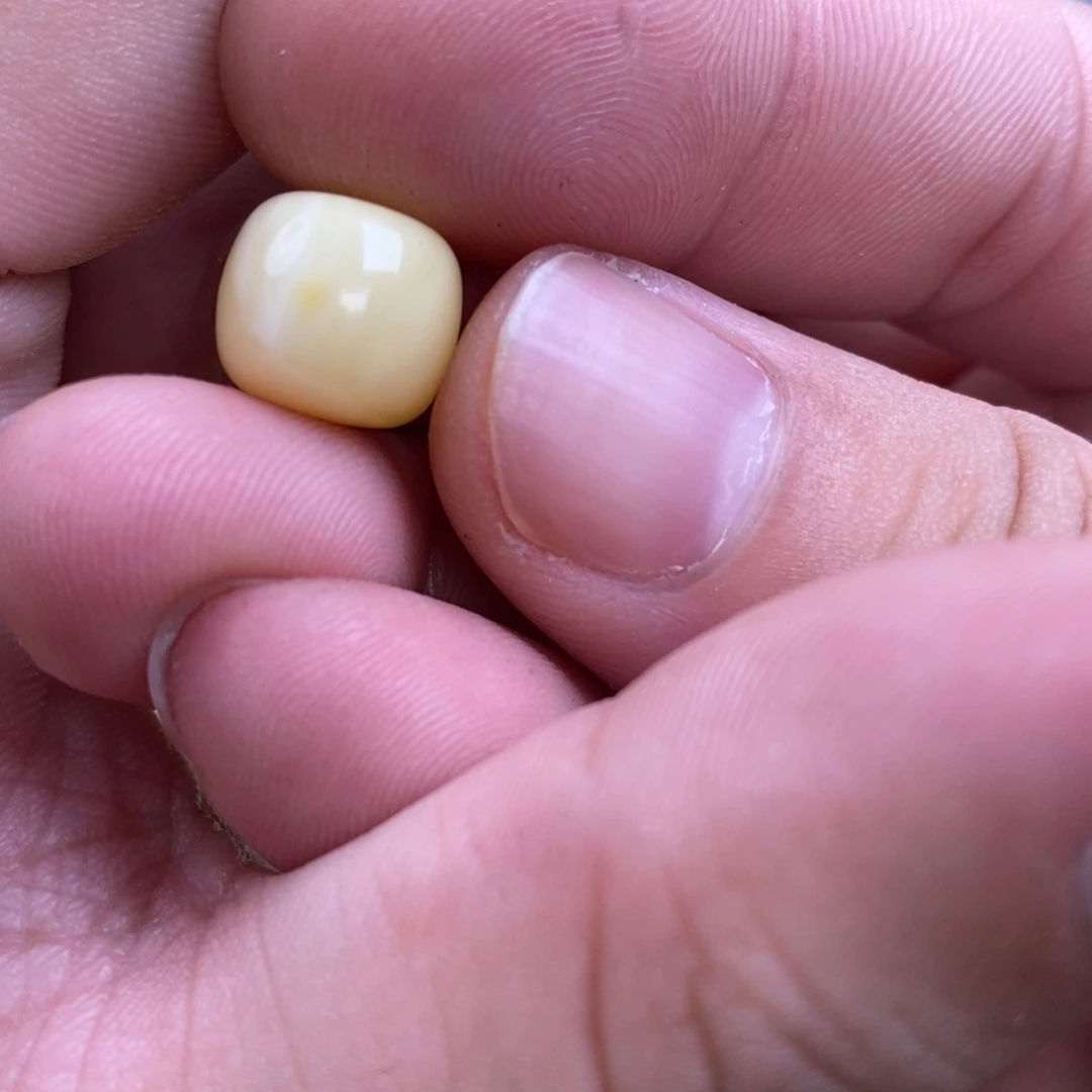 蜜蜡裸石未镶嵌对****.