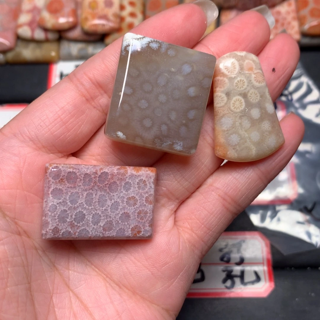 【闪购商品】未镶嵌颈饰硅化玉清*呀