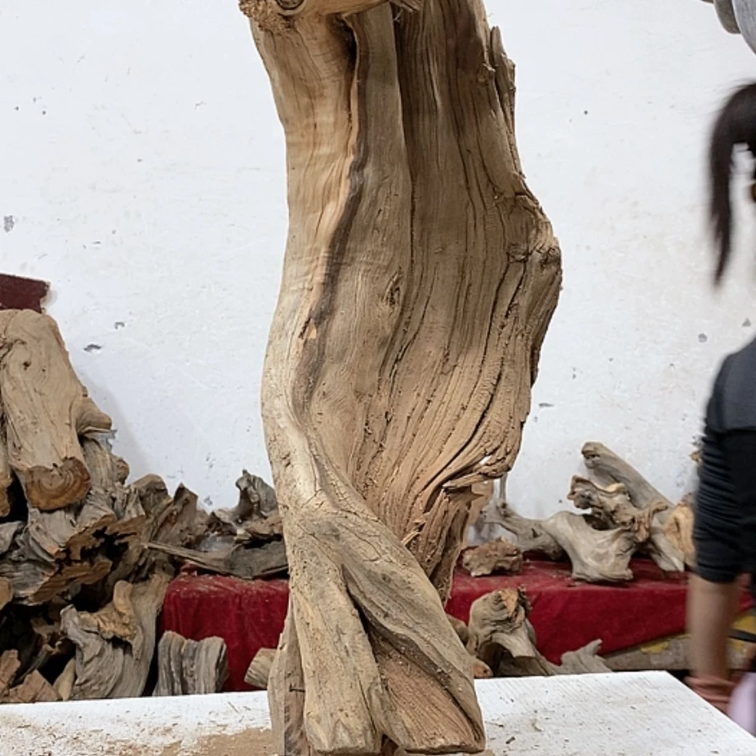 【闪购商品】柏木有*我们都是好孩子