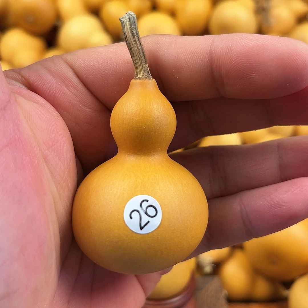 五葫芦葫芦葫芦葫芦26