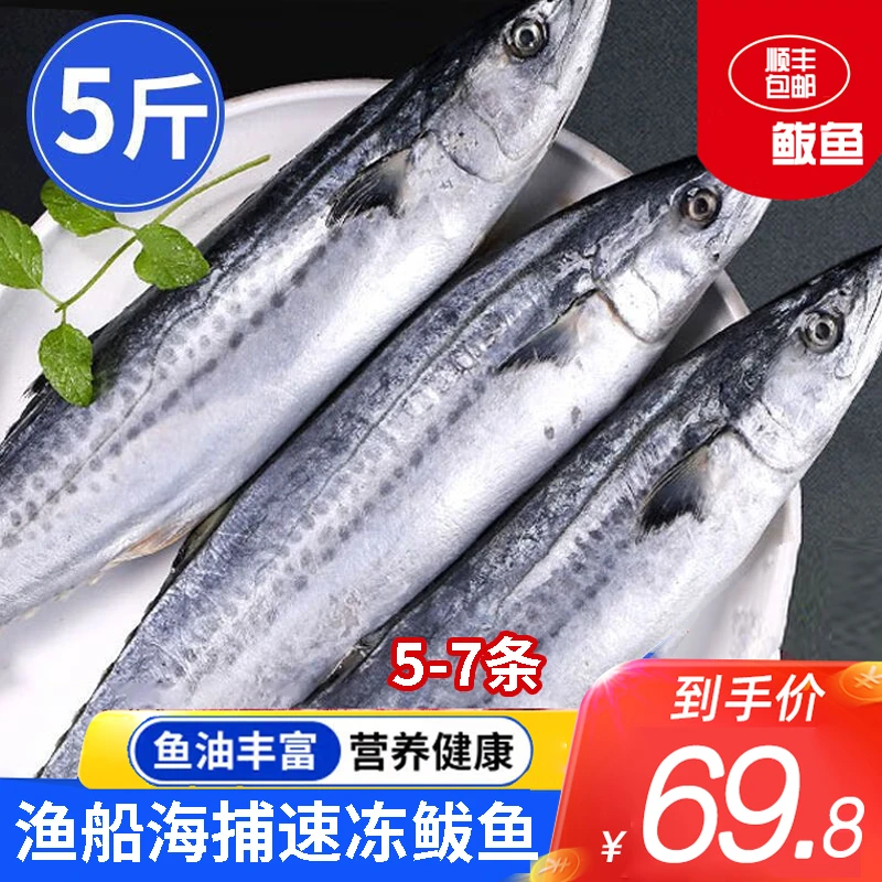 整条小鲅鱼新鲜活鲐鲅鱼马鲛鱼速冻整条青花鱼马友鱼海鲜马交鱼