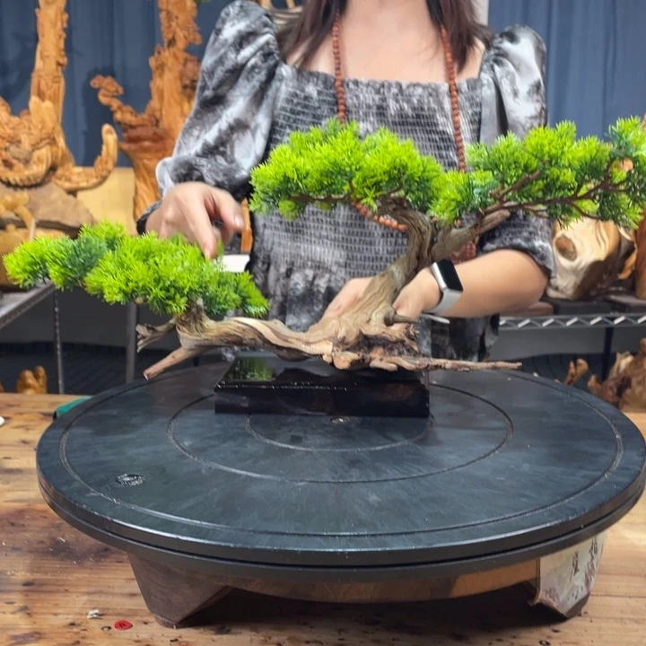 柏木（崖柏）迎客松