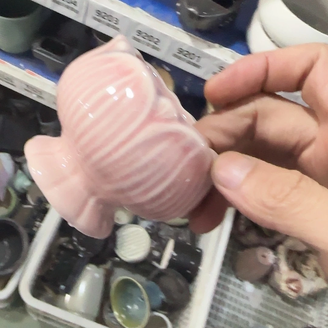 福利局绿植多肉盆［凑9元包邮24小时发］9208