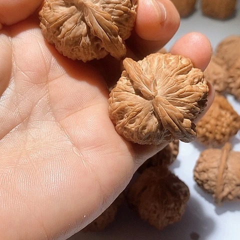 吊坠文玩核桃$**$白狮子