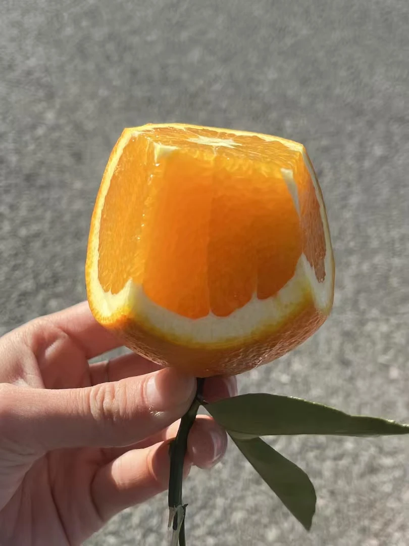 赣南脐橙现采现发5斤/10斤香甜多汁