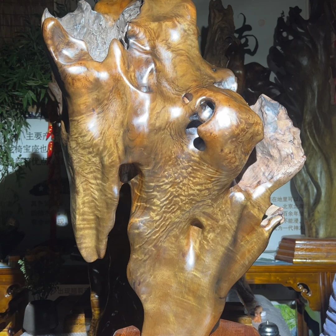 金丝楠幸***乐222222222222