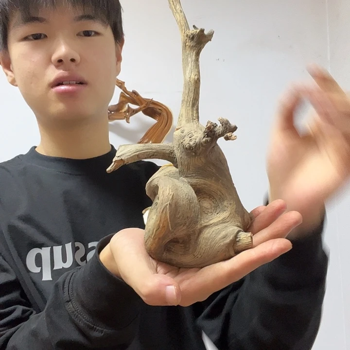 黄***化柏木我是李静如我一般不