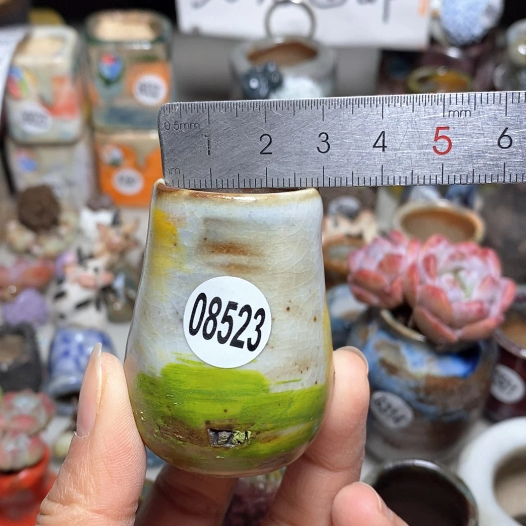 花盆，拍5送一个小礼物