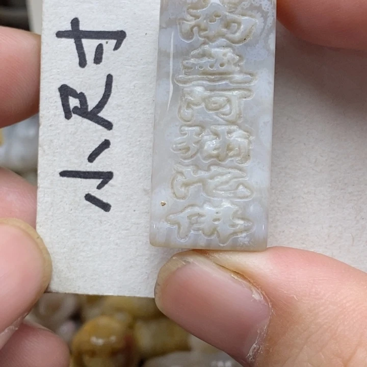 硅化珊瑚（珊瑚玉）未镶嵌颈饰