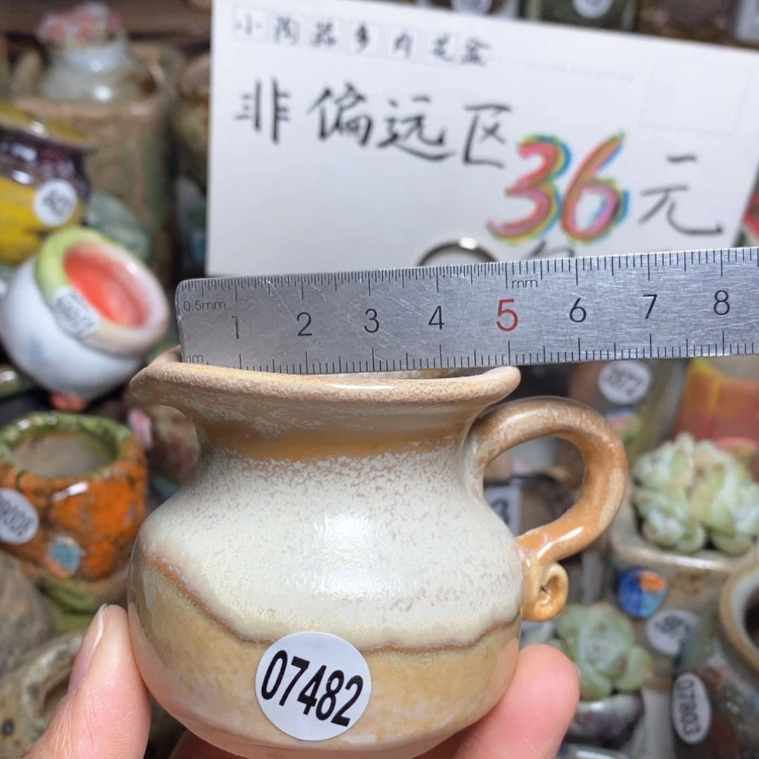 花盆拍5送一个小礼物