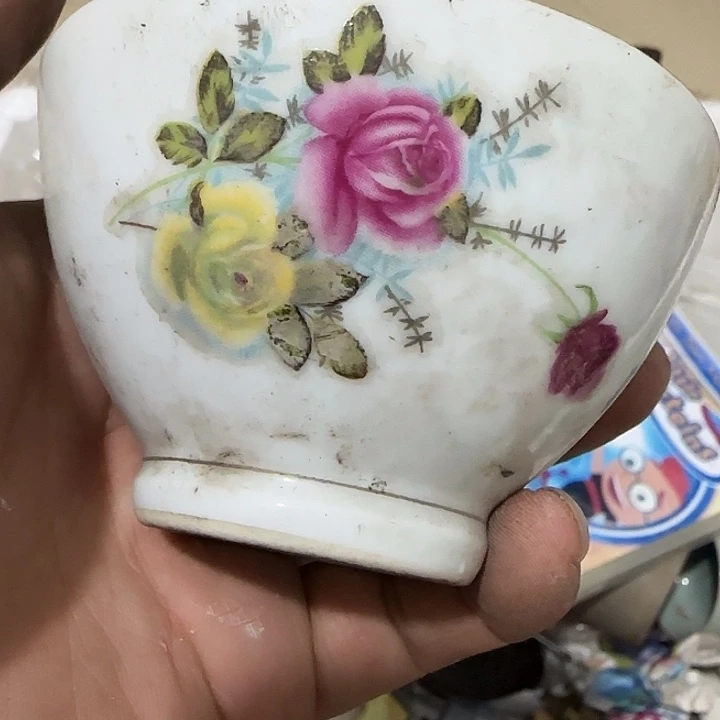 Z***Q香榧木chghghghvgvg