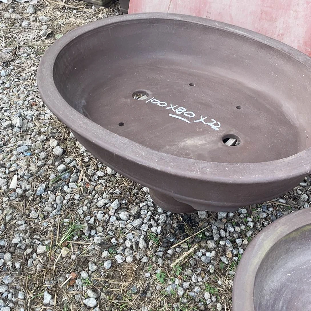 特价处理紫砂一只