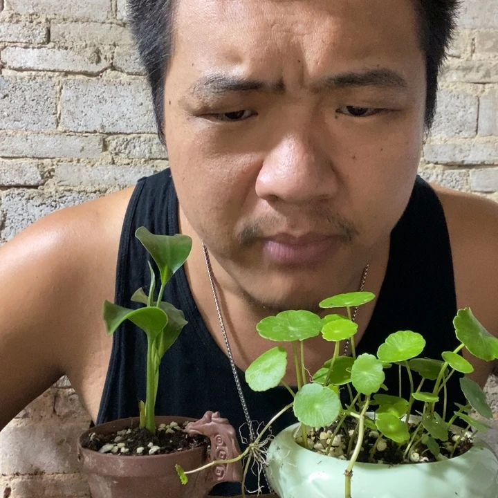 完全开放退款拉黑一物一拍205