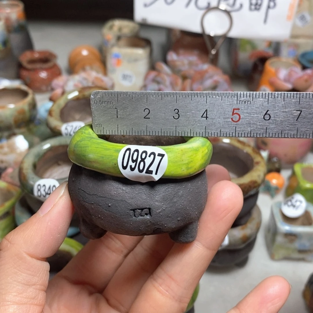 拍3送一个小礼物