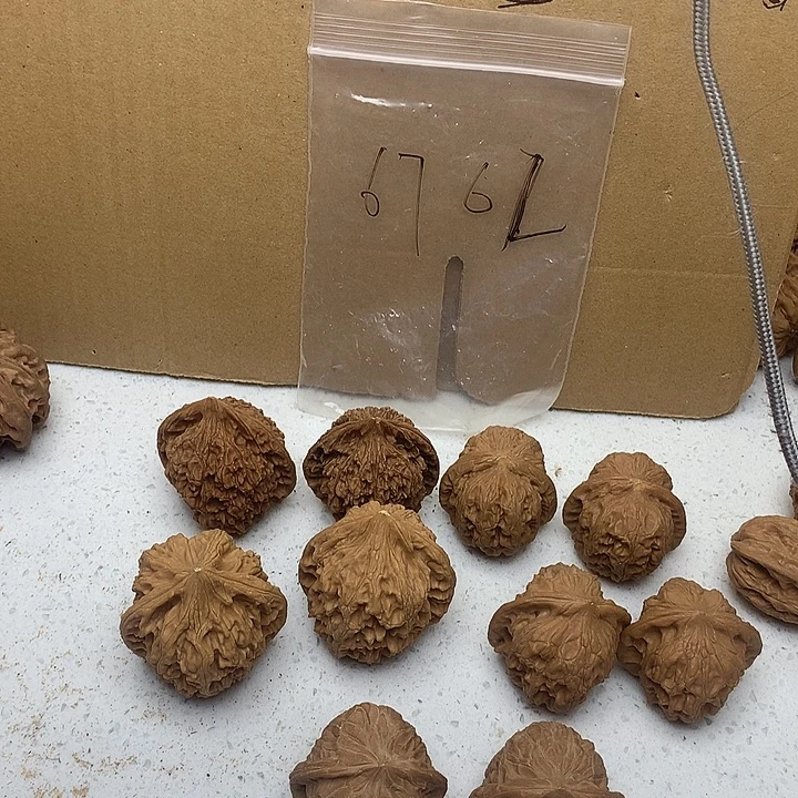 吊坠文玩核桃五对48 米