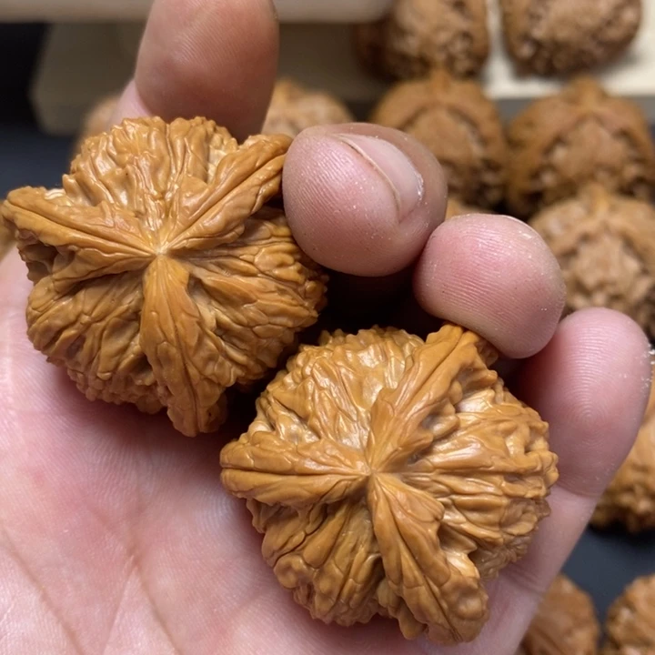 核桃其他?***?38尺白奔正奔