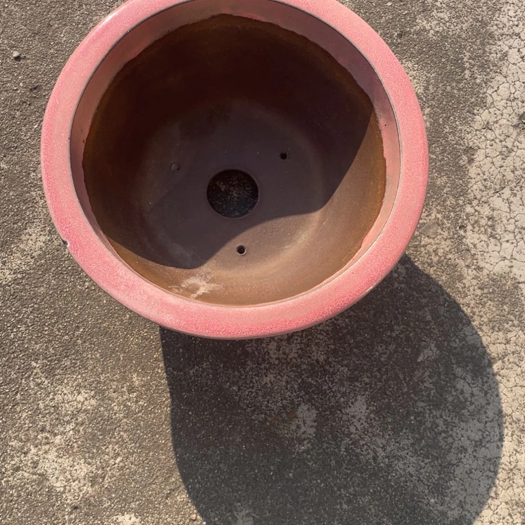 小***️花盆紫砂888888888887