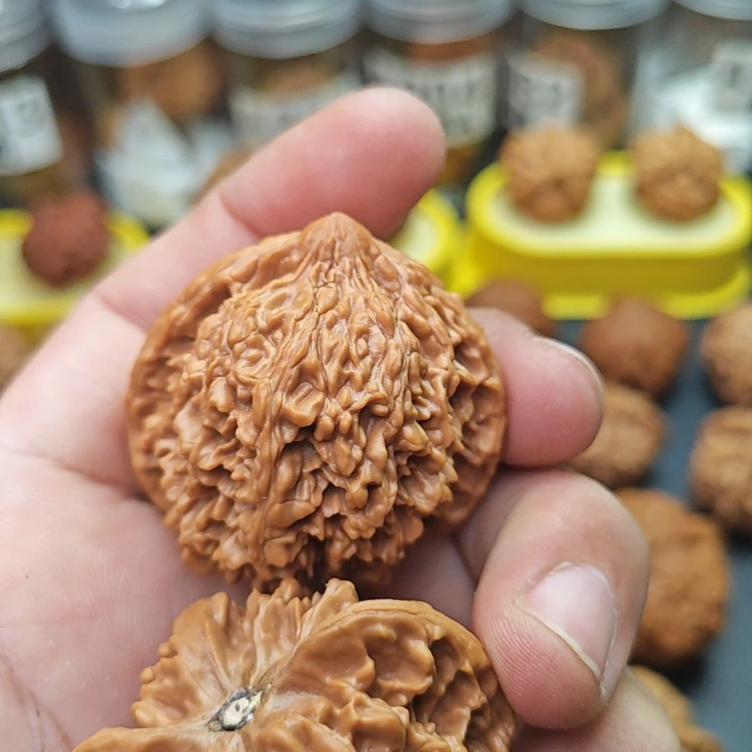 桃核把件大*话满天星43