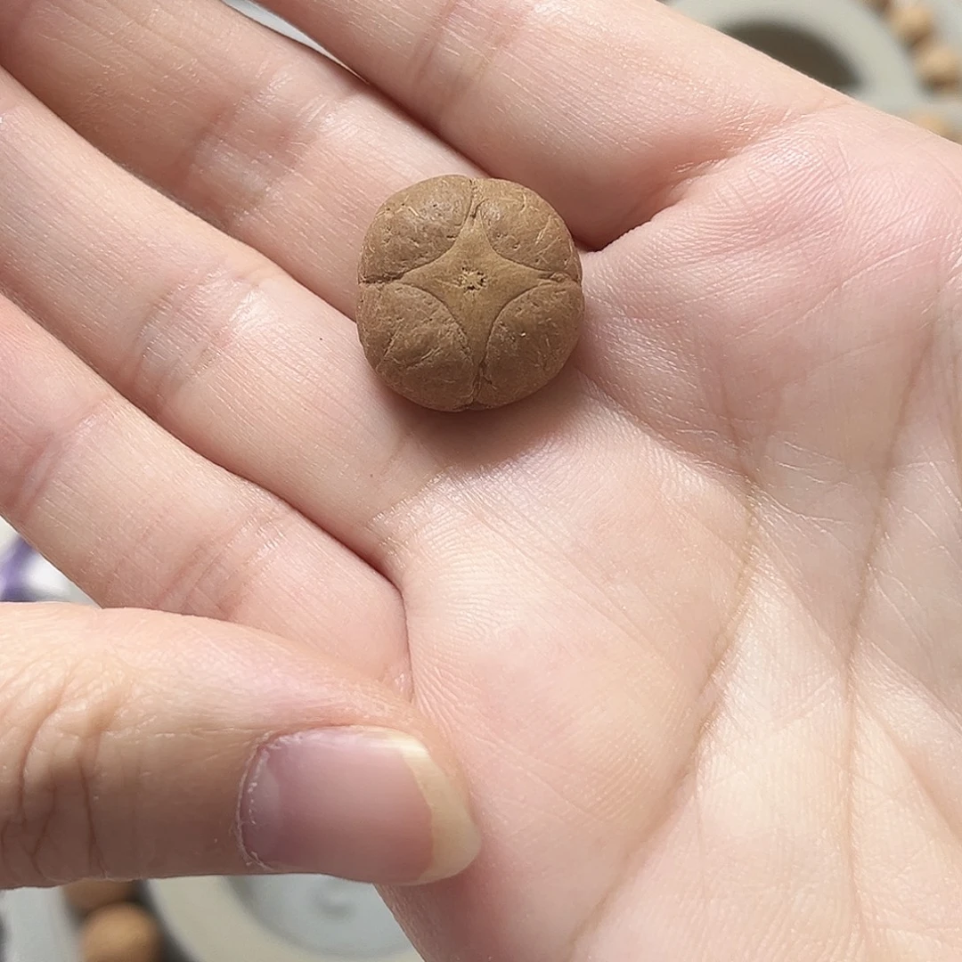 凤眼菩提吊坠18.3麒麟单籽，86@2875