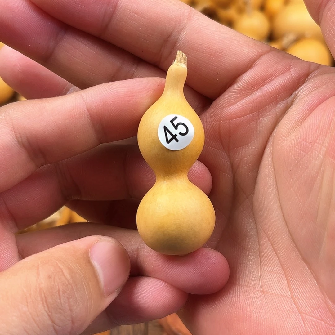 一葫芦葫芦葫芦葫芦45