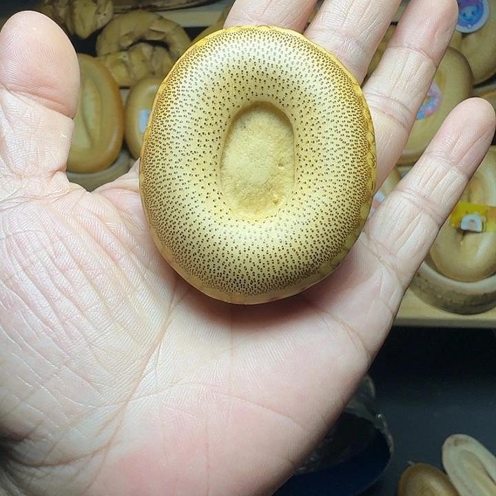 用***6香榧木竹根竹隔一物一拍