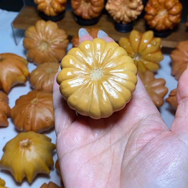 小雏菊放漏不退不换