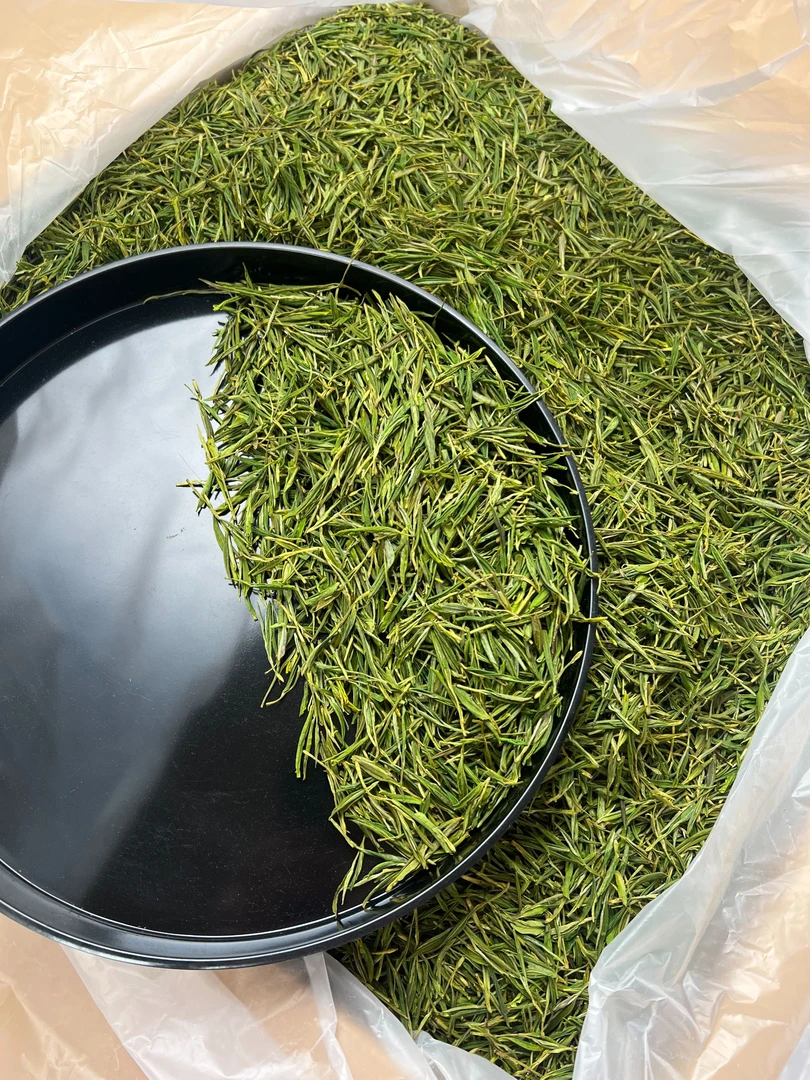 凤型2025年新茶 中黄一号包邮