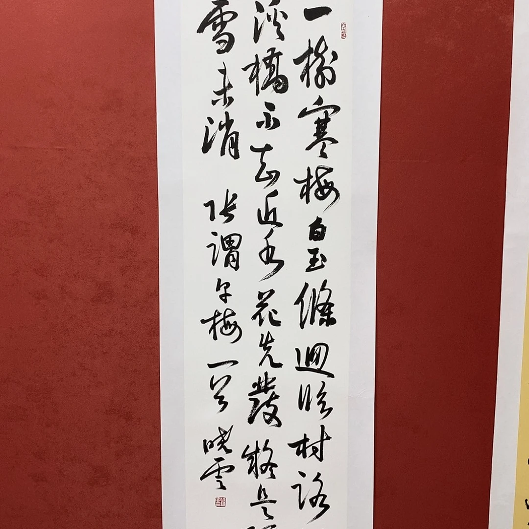 一树直播间大漏11111