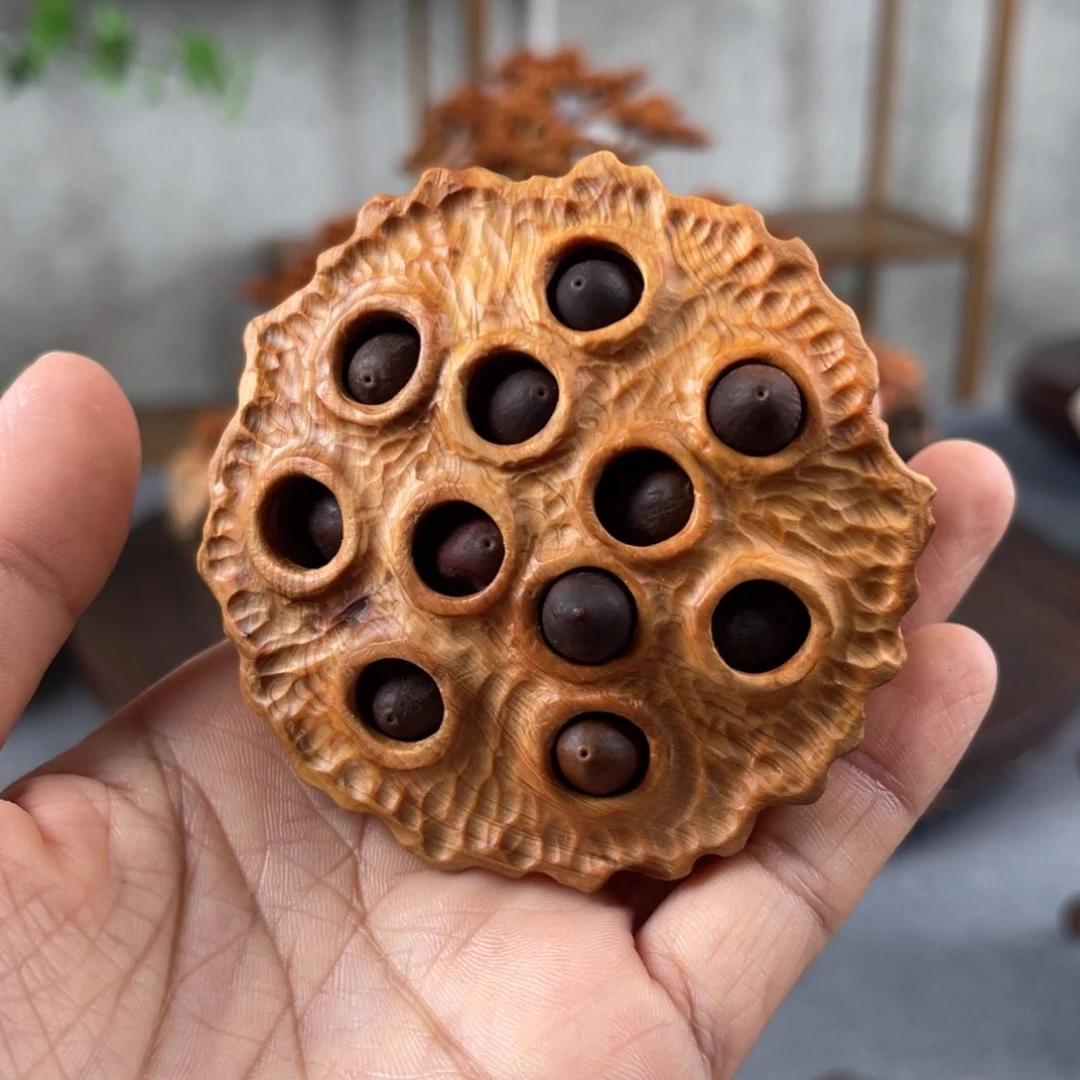 柏木（崖柏）崖柏太行山脉