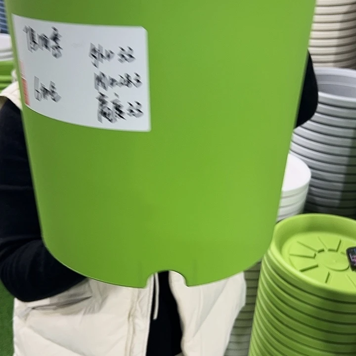 特价7号四季口33高33果绿无托6只